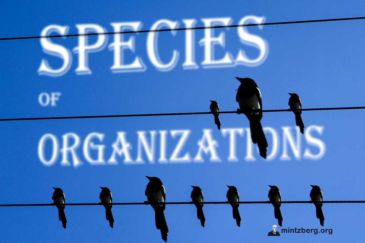 There are species of organizations just as there are species of animals. Don’t mix them up. A bear is not a beaver. Hospitals are not factories; advertising agencies are not fast food companies. #organization #structure #management mintzberg.org//blog/organiza…
