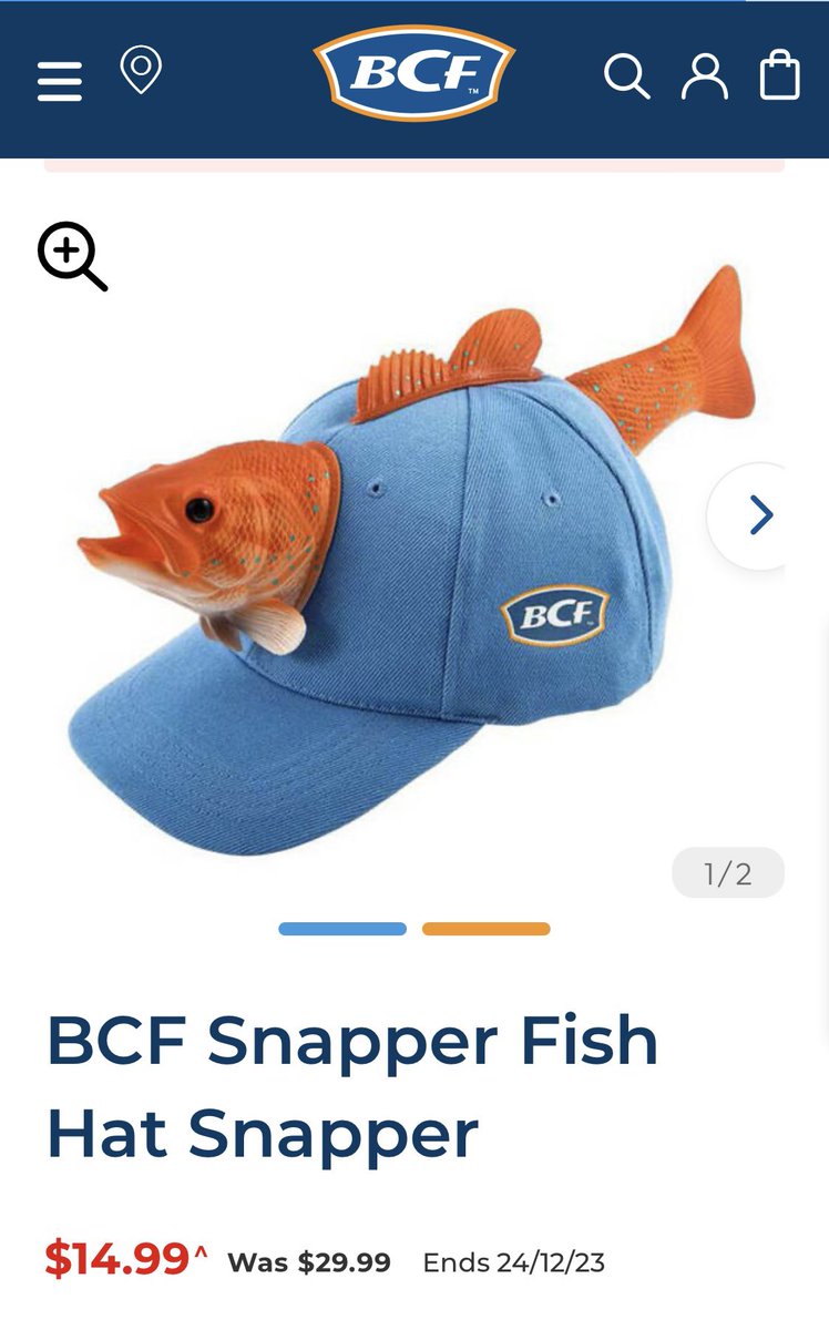 Handsome Hugh Whitehouse on X: This BCF Fish hat is having a