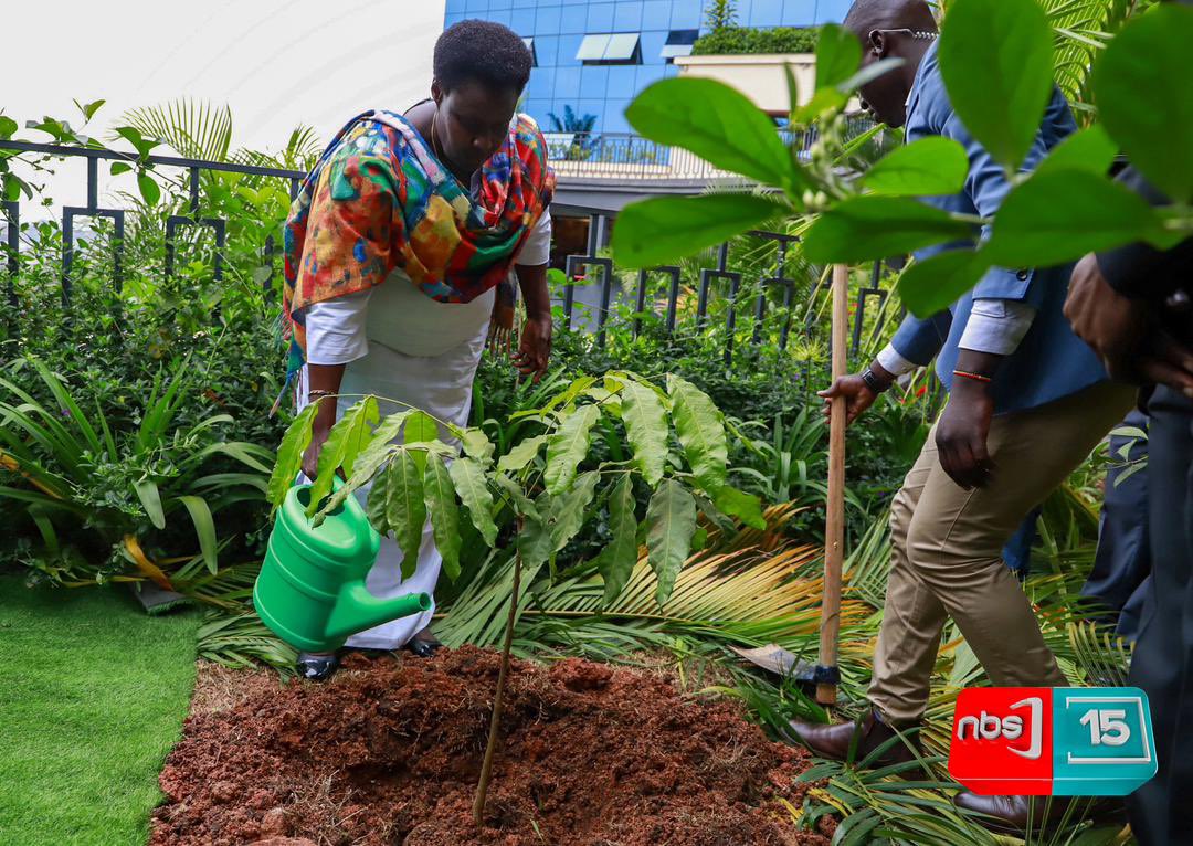 ROOTSUganda's tweet image. Moments from today&apos;s 15 Million Trees launch at the Next Media Park where Vice President of Uganda Rt. Maj. Jessica Alupo was the Chief Guest and planted a tree.  @min_waterUg  #RunningOutOfTrees  #15milliontrees  #TaasaObutonanbic  @totalenergies_ug 
#NBSUpdates