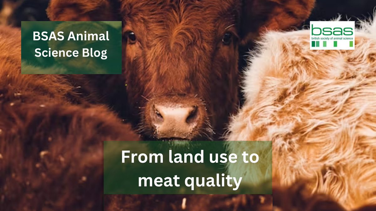 Kim Matthews, past president and Head of Animal Breeding & Product Quality @TheAHDB considers how land use and production characteristics can influence the quality of meat in this month's #bsasblog. You may read Kim's views here 👉🏼 bit.ly/473ONnt