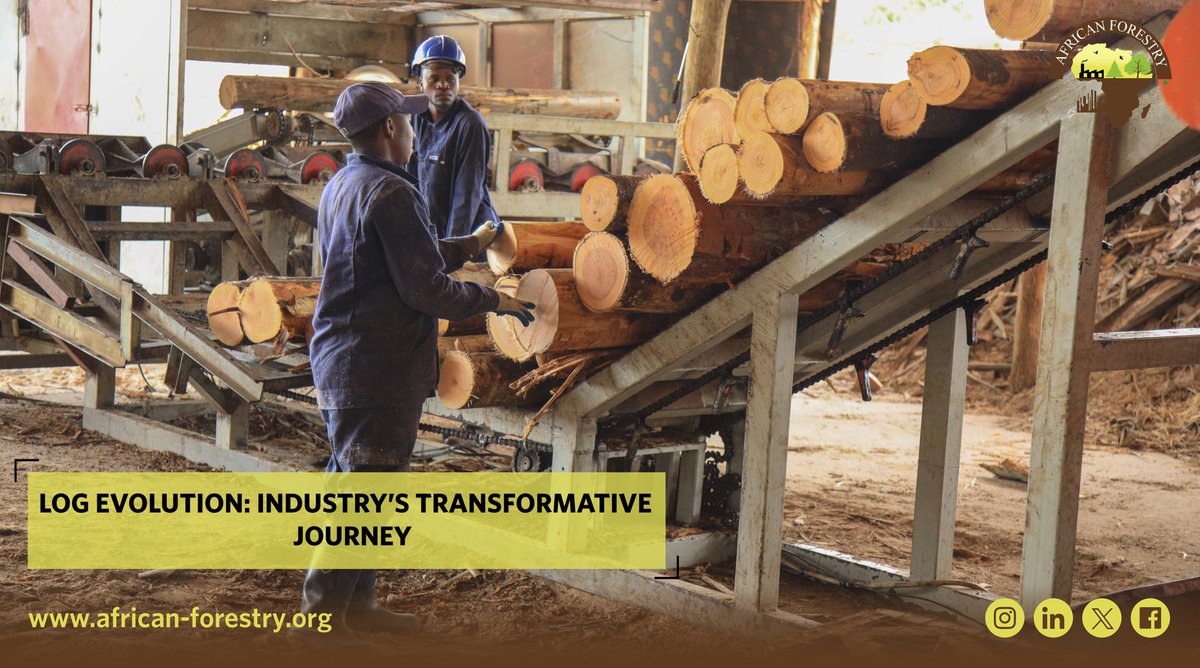 AfForestry's tweet photo. Embark on a journey from the serene forest floor to the bustling factory door, witnessing the transformation of raw logs into industrial marvels. Nature's bounty meets craftsmanship excellence. #LogToLumber #IndustrialTransformation #WoodworkingWonders 🌳✨ https://t.co/p0DbtrF1QJ