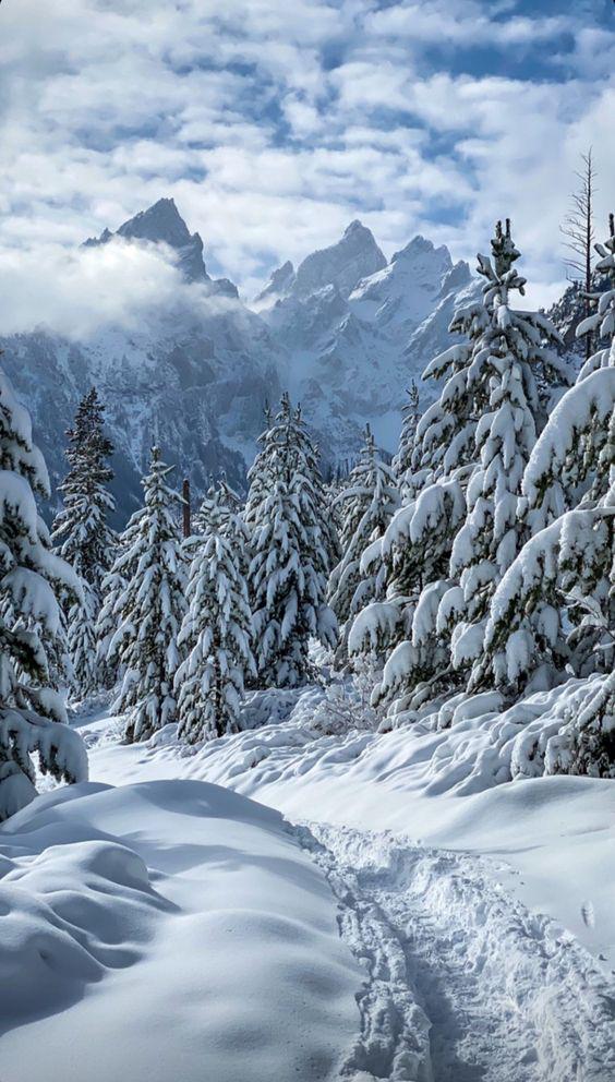 ESIski's tweet image. Offrez-vous un peu de magie blanche à Noël ! esi.ski #mardiconseil