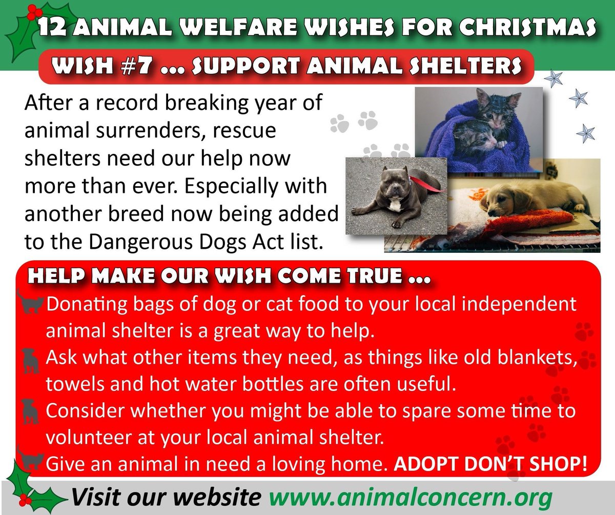 🎄🦌 Follow our Twelve Wishes for Christmas! 🙏 WISH #7 'SUPPORT ANIMAL SHELTERS' After a record breaking year of animal surrenders, rescue shelters need our help now more than ever. Especially with another breed now being added to the Dangerous Dogs Act list.