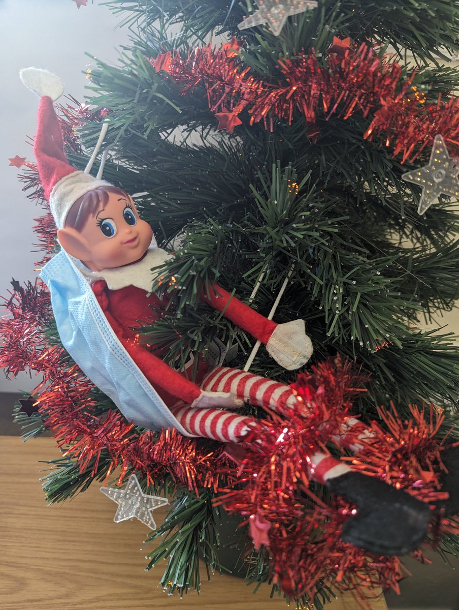 Elfie the tinsel is supposed to be on the tree not wrapped around you. Remember your decorations need to be wipeable and disposed of if the area has an outbreak.