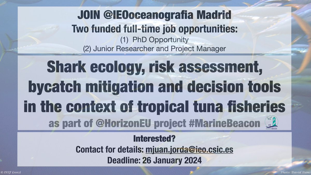 Maria José Juan-Jordá (@mjjuanjorda) on Twitter photo Interested in working on 🦈shark ecology and bycatch mitigation in 🐟tuna fisheries with me & <a href="/grazia_pennino/">Maria Grazia Pennino</a> at <a href="/IEOoceanografia/">Instituto Español de Oceanografía</a> together with the <a href="/azti_brta/">AZTI</a> tuna team in the <a href="/HorizonEU/">Horizon Europe 🇪🇺</a> project #MarineBeacon.
👉We have 2 funded working opportunities
🙏Please RT, spread the word! Interested in working on 🦈shark ecology and bycatch mitigation in 🐟tuna fisheries with me & <a href="/grazia_pennino/">Maria Grazia Pennino</a> at <a href="/IEOoceanografia/">Instituto Español de Oceanografía</a> together with the <a href="/azti_brta/">AZTI</a> tuna team in the <a href="/HorizonEU/">Horizon Europe 🇪🇺</a> project #MarineBeacon.
👉We have 2 funded working opportunities
🙏Please RT, spread the word!