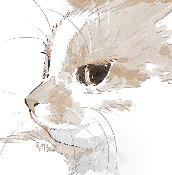 猫挨拶鼻ツン(鼻と鼻をツンと合わせる、人間はこれを鼻の代わりに人差し指でやる)、うちのお姫様猫は一日に一回限定で二度以上は絶対してくれなかったなぁという説明がすごく下手だな…って昨日の落書きあげた後に思った… それはそれとしてメディア欄にツリーの画像が表示されなくなったらしいので