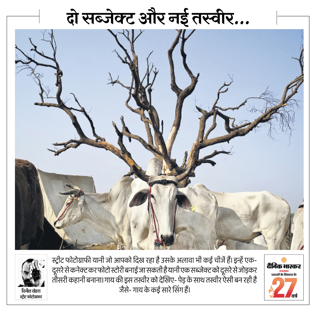 देश-दुनिया के ख्याति प्राप्त फोटोग्राफर्स के सर्वश्रेष्ठ तस्वीरें... जयपुर एडिशन की 27वीं वर्षगांठ पर भास्कर की ख़ास प्रस्तुति

#JaipurAnniversary #Photography #Rajasthan 

अधिक खबरें और ई-पेपर पढ़ने के लिए दैनिक भास्कर ऐप इंस्टॉल करें - dainik-b.in/mjwzCSxDdsb