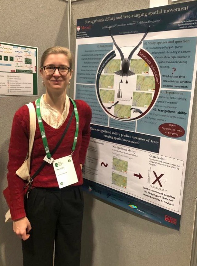 It was so much fun to present at #BES2023 and have Irish Guinness with <a href="/DonJean_Leandri/">Don-Jean Léandri-Breton</a>, <a href="/Arctic_paws/">Sandra Lai @sandralai.bsky.social</a> and <a href="/ArcticEcology/">Kyle Elliott</a>! Special thanks to <a href="/BES_Move_SIG/">BES Movement Ecology</a> for a fun night 🙃
