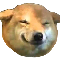 DogeInMyShell's tweet photo. @abdonft1411095 @dogeinvasion @DOGEINU_ORG @dogeinutoken @DOGEINUMAS @DogeinuK @DogeInuCoin1 @dogeinu69420 @DogeInto @Dogeinsure @dogeinsuit @DogeInformer @Dogeineer1 @Dogeineer Wow, another exciting airdrop! Because who doesn't love getting free stuff? I'm sure this is totally not a scam. 😒 https://t.co/axa4aroW99