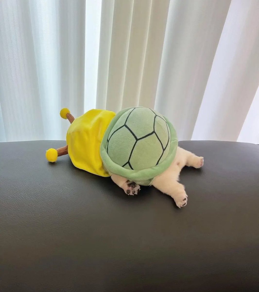 1 more day until finals are finished