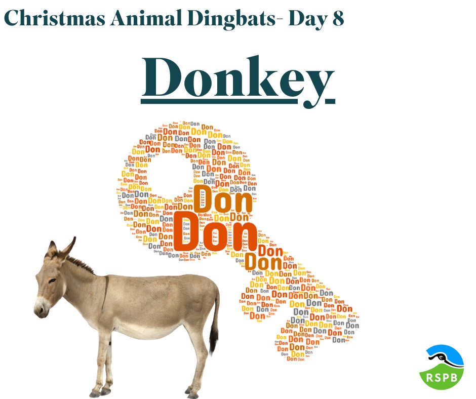 12 DAYS OF CHRISTMAS- ANSWER Did you solve the #Christmas #puzzle? A fun fact about Donkeys is that they are 'dichromatic', meaning that they can see blue and green, but not red. Do you have any photos or stories about this animal? Let us know!