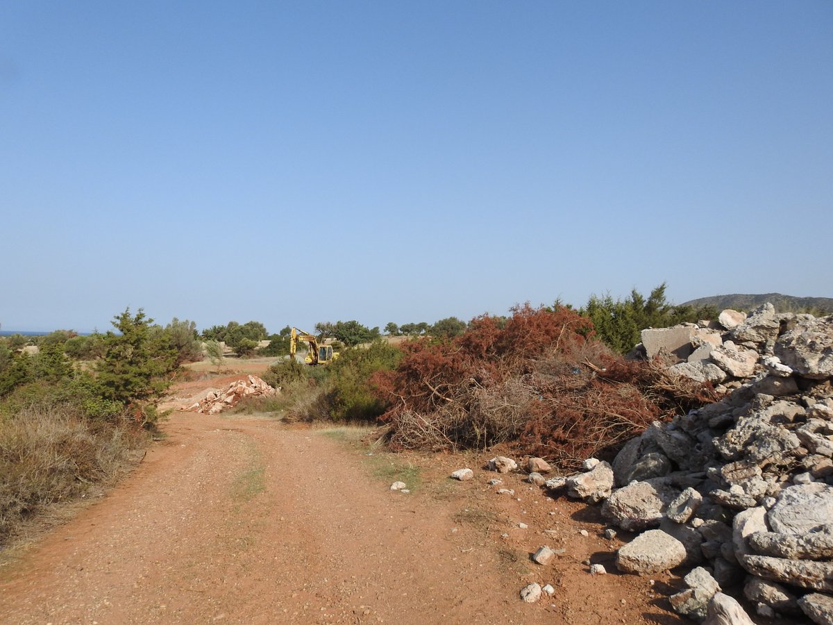 Terra Cypria (@terra_cypria) on Twitter photo 📢 Ζητάμε την άμεση δημοσίευση του πορίσματος της διοικητικής έρευνας του Υπουργείου Γεωργίας, Αγροτικής Ανάπτυξης και Περιβάλλοντος για τη βελτίωση του οδικού δικτύου στο Εθνικό Δασικό Πάρκο (ΕΔΠ) Ακάμα
Μάθετε περισσότερα εδώ: shorturl.at/dGM26
<a href="/CyMOApress/">Υπ. Γεωργίας, Αγροτικής Ανάπτυξης & Περιβάλλοντος</a> 📢 Ζητάμε την άμεση δημοσίευση του πορίσματος της διοικητικής έρευνας του Υπουργείου Γεωργίας, Αγροτικής Ανάπτυξης και Περιβάλλοντος για τη βελτίωση του οδικού δικτύου στο Εθνικό Δασικό Πάρκο (ΕΔΠ) Ακάμα
Μάθετε περισσότερα εδώ: shorturl.at/dGM26
<a href="/CyMOApress/">Υπ. Γεωργίας, Αγροτικής Ανάπτυξης & Περιβάλλοντος</a>