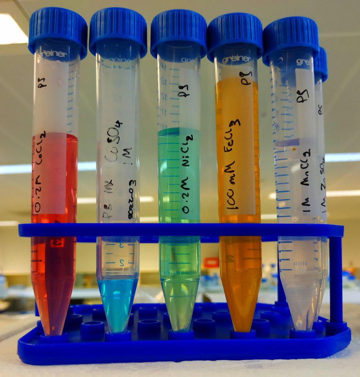 Hans Pfalzgraf (@sci_hans) on Twitter photo I inherited some dissolved metals from <a href="/Pete_Smyth_/">Pete Smyth</a> and I think they're very pretty 🤩
We use them for long cultures of bacteria, so they don't run out of metal ions when making our favourite proteins 😊 I inherited some dissolved metals from <a href="/Pete_Smyth_/">Pete Smyth</a> and I think they're very pretty 🤩
We use them for long cultures of bacteria, so they don't run out of metal ions when making our favourite proteins 😊