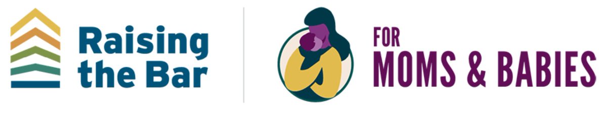 Raising the Bar for #MaternalHealth #Equity and Excellence is especially relevant for states applying to the Transforming Maternal Health Model (@CMSinnovates). The practical guide provides actionable steps to help orgs advance equity. @NPWF Read more: nationalpartnership.org/health-justice…