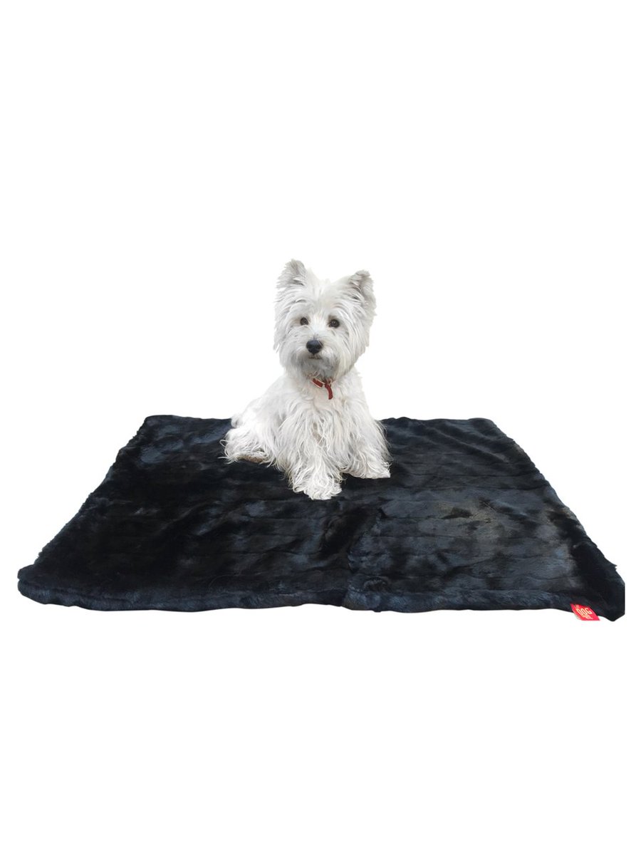 Black Mink Plush Magic Mat atouchofjackie.com/products/black… #atouchofjackie #magicmat #petbedding #dogbed #petbed #thedogsquad #dog #dogs #pup #holidayshopping #petgifts #adoptdontshop #dogblanket #petblanket #theholidays #winter #njsmallbusiness #jackie #rescue #rescuepets #puppylove