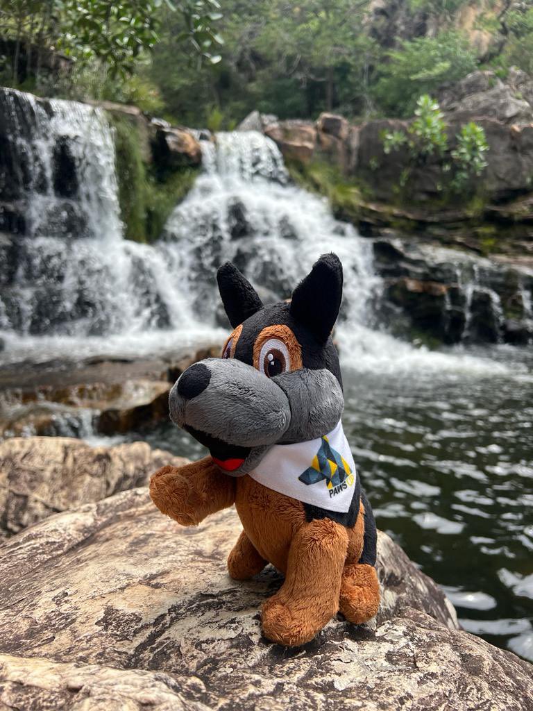 Bob is enjoying his post PawsUp Party break still! (Hope he’s got all his Christmas 🎄 shopping done) The question remains the same though; #wheresbob

Get your own bob from PawsUp.org.uk/shop