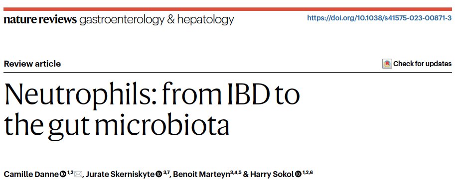 You want to know everything about #Neutrophils and their relations with #IBD and the gut #Microbiome? Check our last review with @CamilleDanne in @NatRevGastroHep @Sorbonne_Univ_ @Inserm @crsa_paris @APHP @INRAE_IDF Free access here ⬇️⬇️⬇️⬇️⬇️⬇️⬇️⬇️ rdcu.be/dtUMU