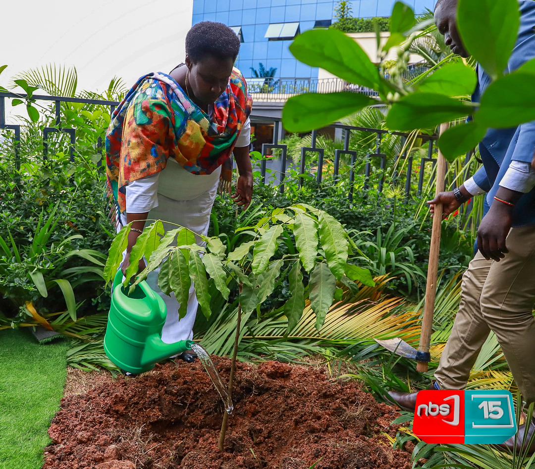 Exciting day at Greening Africa as we proudly stand with @nextmediaug in launching the 15 Million Trees Campaign!🌳💚 Together, we embark on a journey to make a lasting impact on our environment. #GreeningAfrica #15MillionTrees #Sustainability #ClimateAction