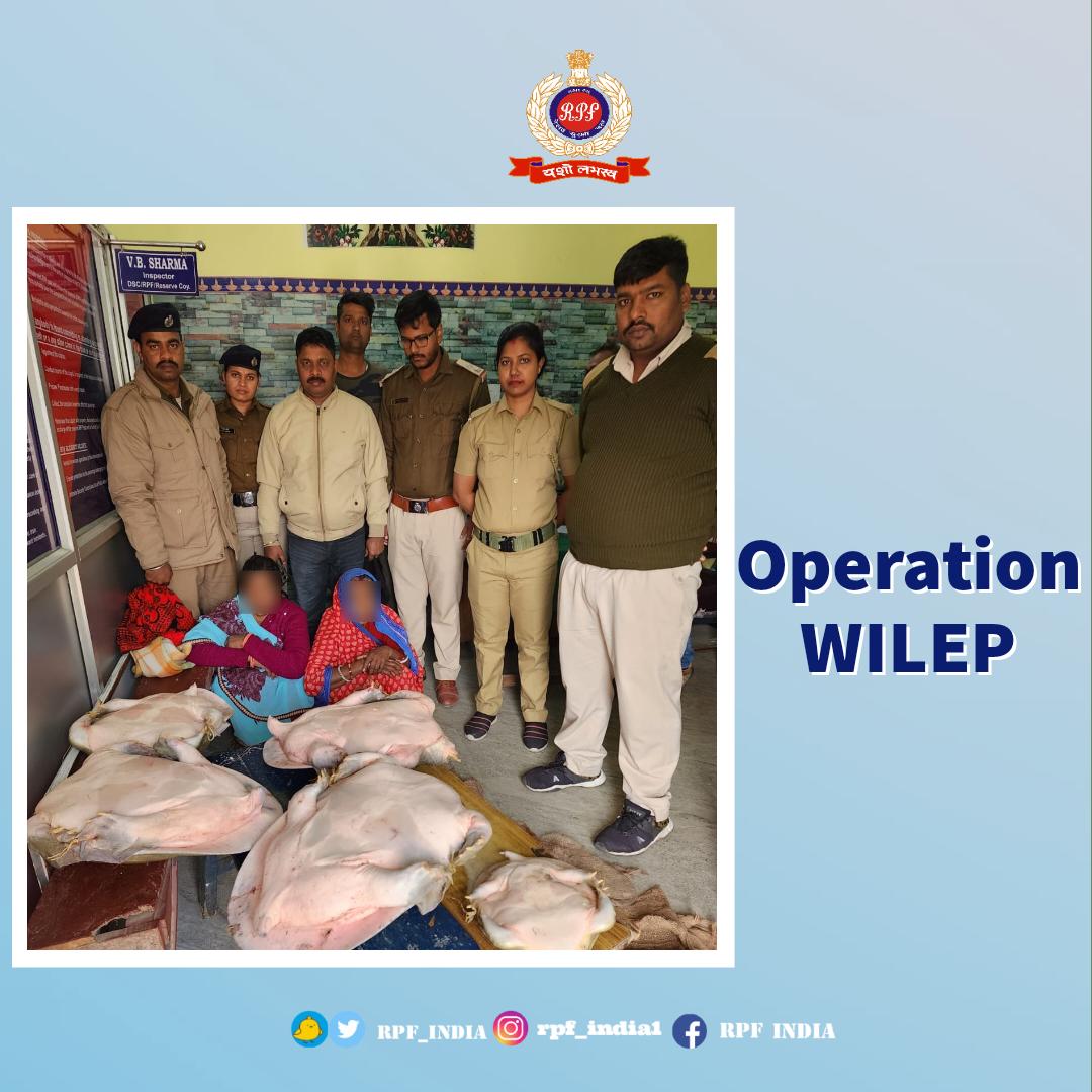 Defend, Protect & Conserve: Our Duty to WildLife🌿🐾 
On a mission to protect #wildlife under #OperationWILEP, team of #RPF Malda Town intercepted two women, while attempting to smuggle 5 live turtles illegally.  
#WildlifeProtection #WeCare #SaveNature #SaveFuture @ErRpf