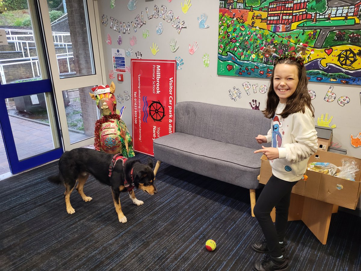 Great start to Tal's school day - his perfect day! Look at these two lovelies playing pass with the tennis ball. What a beautiful smile :) #SchoolDog #WellbeingMatters @EAS_Equity