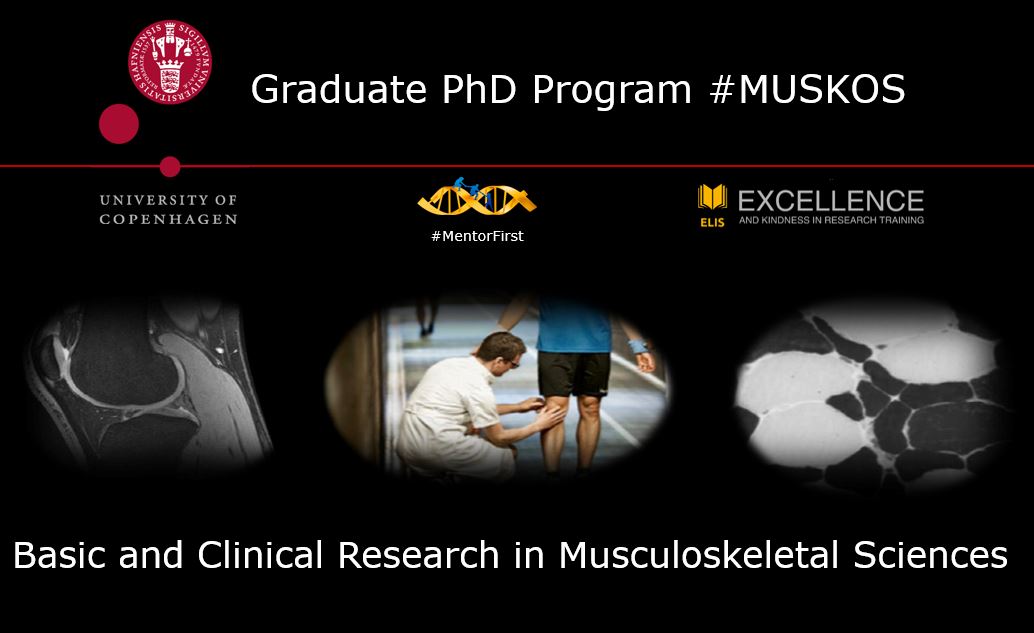 TBandholm's tweet image. In 2024, I&apos;m set to become the Head of the Graduate PhD Program @MUSKOS_PhD #MUSKOS at the Graduate Graduate School of Health and Medical Sciences at @UCPH_health. Here’s a bit more about the upcoming transition 🧵👇: