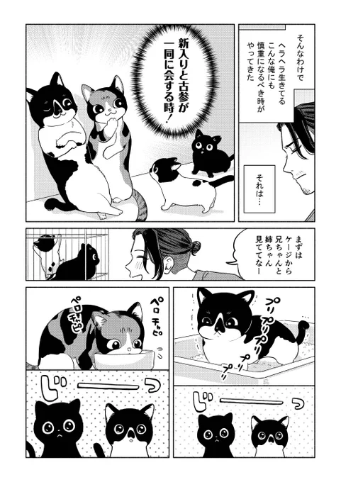 猫は液体だね(1/2) 