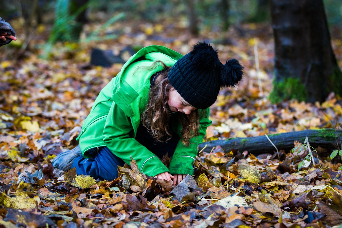 Find out more about ‘hidden Westonbirt’ this winter.👀 Explore our playful family treasure hunt trail and learn about the animals & plants that make the arboretum their home.🌳🐦 🔗 forestryengland.uk/westonbirt/fam… #outdoors #family