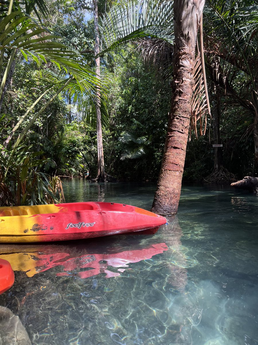 MaxAzgeda's tweet image. Krabi, Thailand 🇹🇭