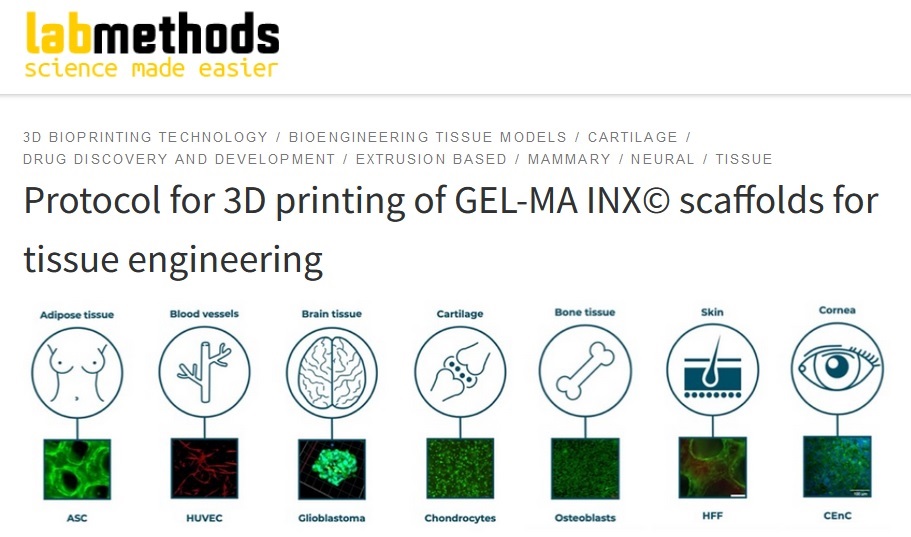 josbaema's tweet image. 🔝 Protocol for 3D printing of GEL-MA INX© scaffolds for tissue engineering using a #REG4LIFE @REGEMAT3D bioprinter

labmethods.org/2023/12/11/pro…

#labmethods #bioprinting #bioinks #biofabrication #engineering #GELMA #3dprinting