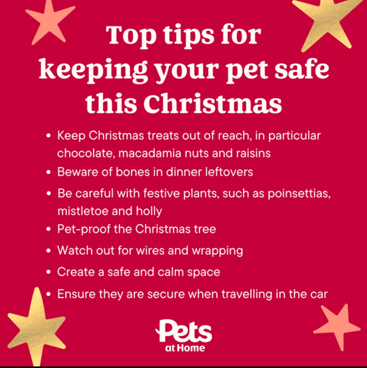Christmas can be a magical time to spend with our pets.   But we need to be mindful about the impact that celebrations can have on them.   @PetsatHome has shared some top tips to help us all keep pets healthy and happy this holiday season!   Find out more: bit.ly/3TvGaip