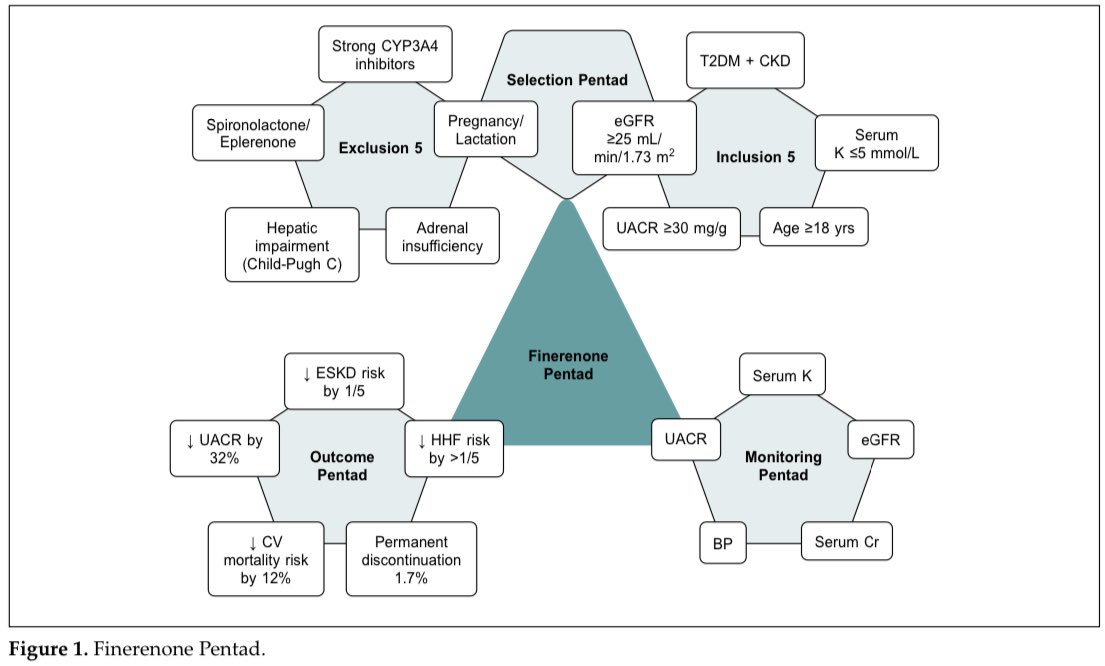 Optimizing Finerenone Therapy: A Comprehensive Review Using the “Finerenone Pentad”
ojs.ijcp.in/IJCP/article/v…
#CardioTwitter #cardiology #cardioEd #NephPearls #FOAMed #MedEd #MedTwitter #diabetes #kidney