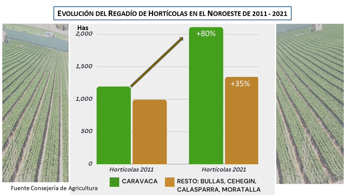 Aumento de casi 1000Ha de hortícolas en 10 años en Caravaca‼️ Esto supone un incremento del 80% frente al 35% del resto de municipios del Noroeste de la Región de Murcia. Una de las consecuencias es que aproximadamente el 80 % de las ⛲️ y ríos presentan contaminación por Nitratos