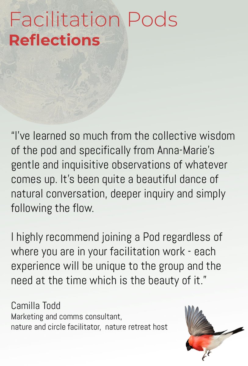MrsBadgerface's tweet image. It&apos;s impossible to describe the richness of this first season of Facilitation Pods, or come close to touching everything I&apos;ve gained from them.

With a pod theme of &apos;the dynamics and roles playing out in the room&apos;, it&apos;s been fascinating to see how close we&apos;ve stayed to this theme