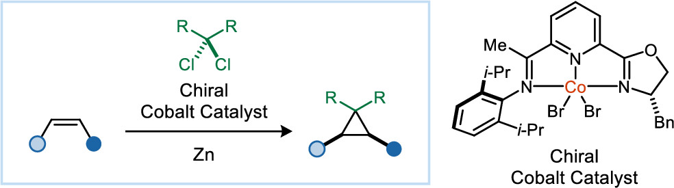 Explore one of our #MostRead papers this year ⚡ Catalytic Asymmetric Cyclopropanations with Nonstabilized Carbenes 🔬 @UyedaLab @PurdueChemistry 📖 Read the full article here: go.acs.org/7nK