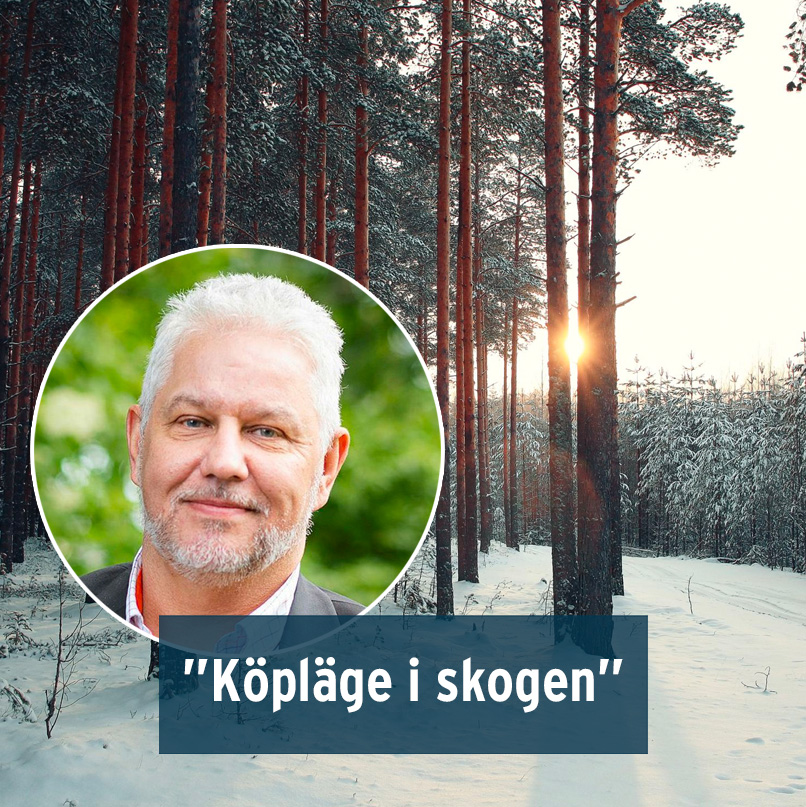 🌲Priserna på skogsfastigheter har fallit under året samtidigt som virkespriserna fortsätter att stiga. Skogssällskapets Skogsindex visar på köpläge.

🔸LÄS MER HÄR: atl.nu/experten-kopla…