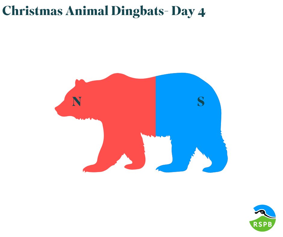 12 DAYS OF CHRISTMAS- DAY 4 We have a little #quiz for you over the 12 days of #Christmas…can you solve all the dingbats? They are all animals associated with Christmas. Can you solve today’s #puzzle? Answers will be published at 7pm!