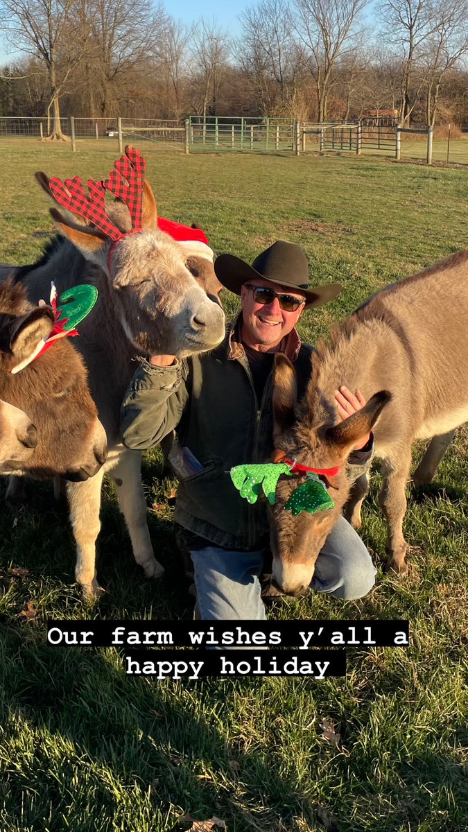 Happy Holidays to all from our farm to yours. #happyholidays #donkeys #minidonkeys