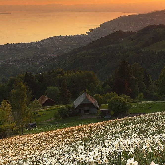 sunset in countryside.