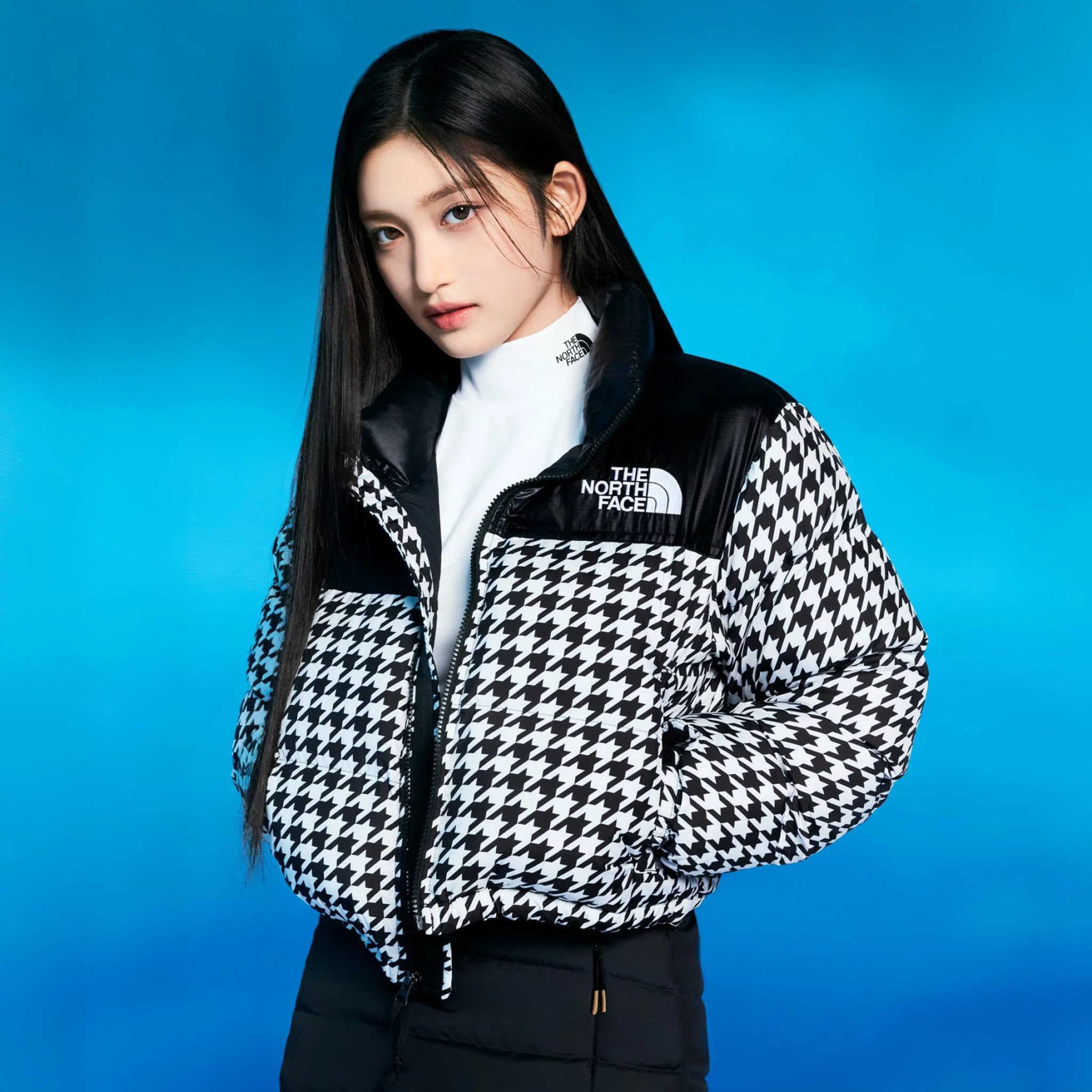 ⭐︎レア⭐︎ THE NORTH FACE ヌプシダウン　韓国　千鳥格子柄 𝑁𝑜𝑒𝑐ℎ𝑖 on X: 