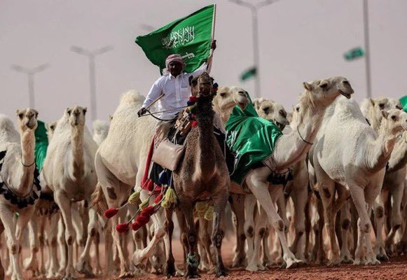 ALNAWADER3's tweet photo. قرار مجلس الوزارء باعتماد تسمية عام 2024 "عام الإبل " هو انعكاس للاهتمام بالموروث السعودي ونشر المعرفة بالإبل وثقافتها وماتمثله من تاريخ وأصاله . 

#عام_الإبل 
#مجلس_الوزراء
#مهرجان_الملك_عبدالعزيز_للإبل8 
#عز_لاهله�� https://t.co/NdXN0ykRIq