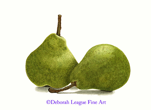 Two Bartlett pears #StillLife #FruitArt #buyintoart #PearPainting #kitchendecor #Pears #foodiegiftidea #foodart #watercolorfruit #homedecorideas #BartlettPear #kitchenwallart #ArtistOnTwitter #giftsforcooks #AYearForArt #LoveArt #watercolor #art
ART - deborah-league.pixels.com/featured/two-b…