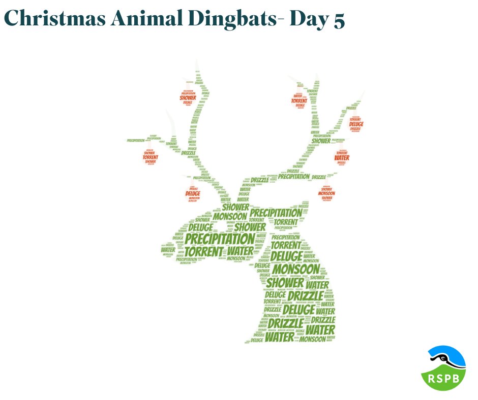 12 DAYS OF CHRISTMAS- DAY 5 We have a little #quiz for you over the 12 days of #Christmas…can you solve all the dingbats? They are all animals associated with Christmas. Can you solve today’s #puzzle? Answers will be published at 7pm!