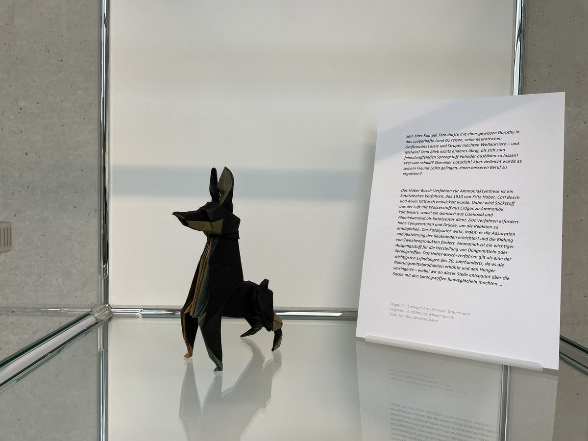 … Melvin‘s friends were famous, but he somehow ended up being an explosive detection dog…🤷‍♂️ … of course only necessary since some chemists developed a catalytic process to produce ammonia… 😉 #Haber #Bosch #art #origami @TUMCatalysis @TU_Muenchen