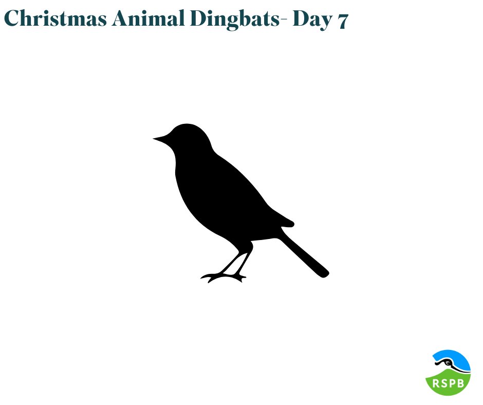 12 DAYS OF CHRISTMAS- DAY 7 We have a little #quiz for you over the 12 days of #Christmas…can you solve all the dingbats? They are all animals associated with Christmas. Can you solve today’s #puzzle? Answers will be published at 7pm!