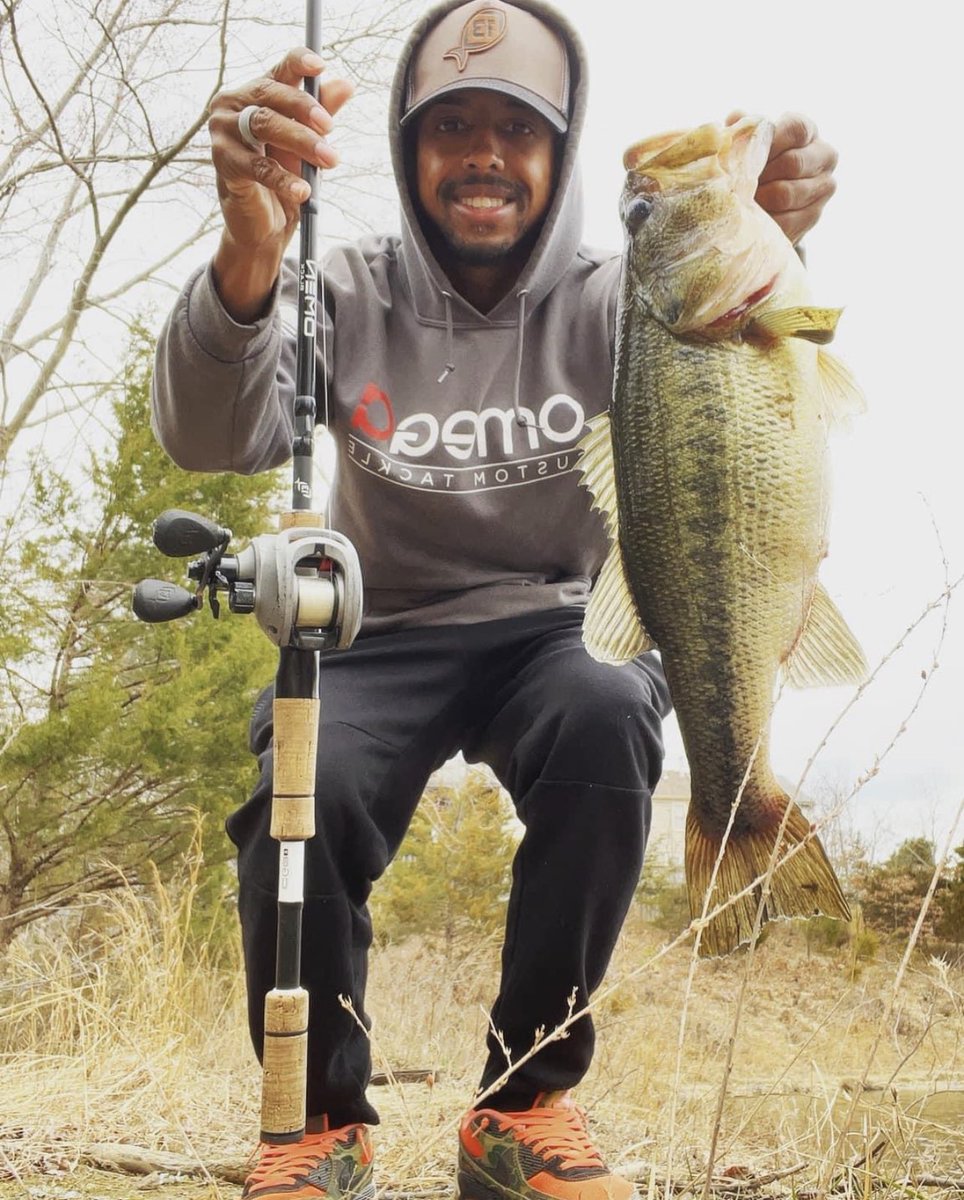 BassandFurious tweet media