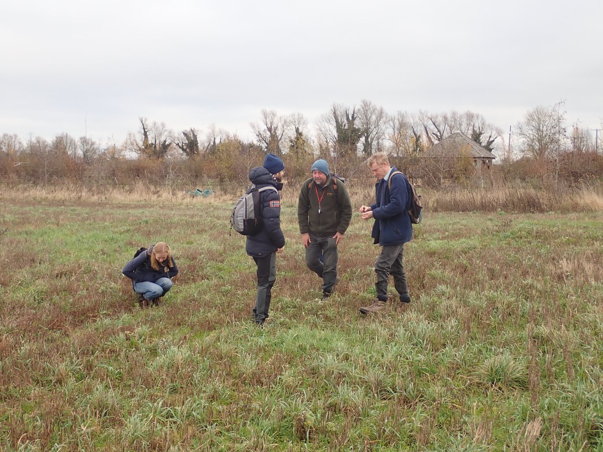 On Saturday we visited Willow Grange Farm to record bryophytes with the Cambridgeshire Bryophyte Group. 47 species were recorded across the farmyard, tracks, stubble field, ditches & orchard. 📷 Syntrichia ruraliformis & surveying. #cambridgeshirefens #britishbryologicalsociety