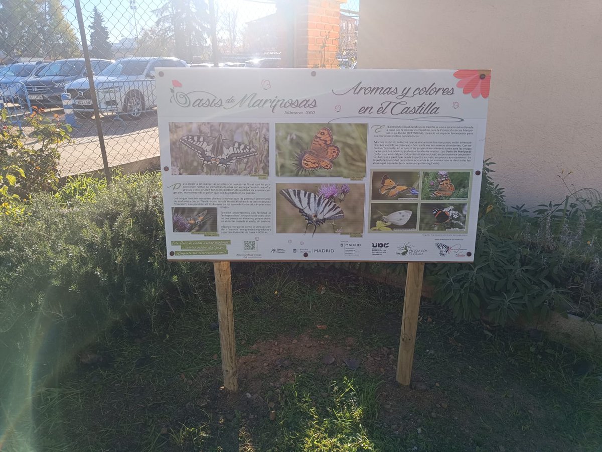 UdcChamartin's tweet photo. Instalamos el segundo #OasisDeMariposas en el #centrodemayorescastilla😍🦋🐛ahora toca esperar a que vengan, y así poder identificarlas gracias a la colaboración de @asocZERYNTHIA 🤗@JMDChamartin @MADRID @AsocElOlivar https://t.co/g4K3guMzuc