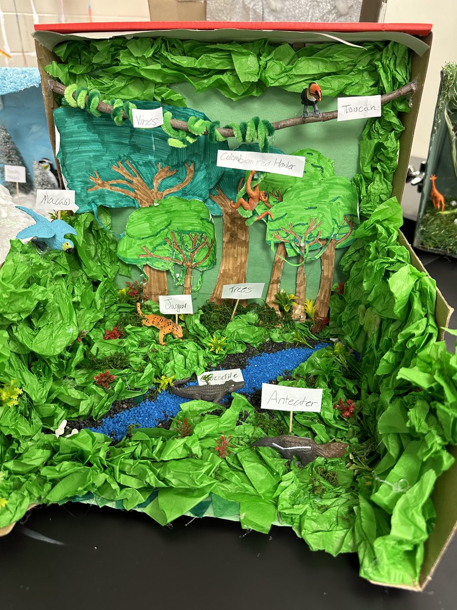 Ms. Declue's 7th grade science students went above and beyond creating biomes. Great job! #hurstisfirst @hebisd