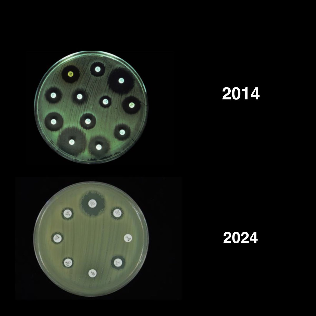 The challenge we don’t have to contribute to… 

Use antibiotics appropriately…

#10yearchallenge