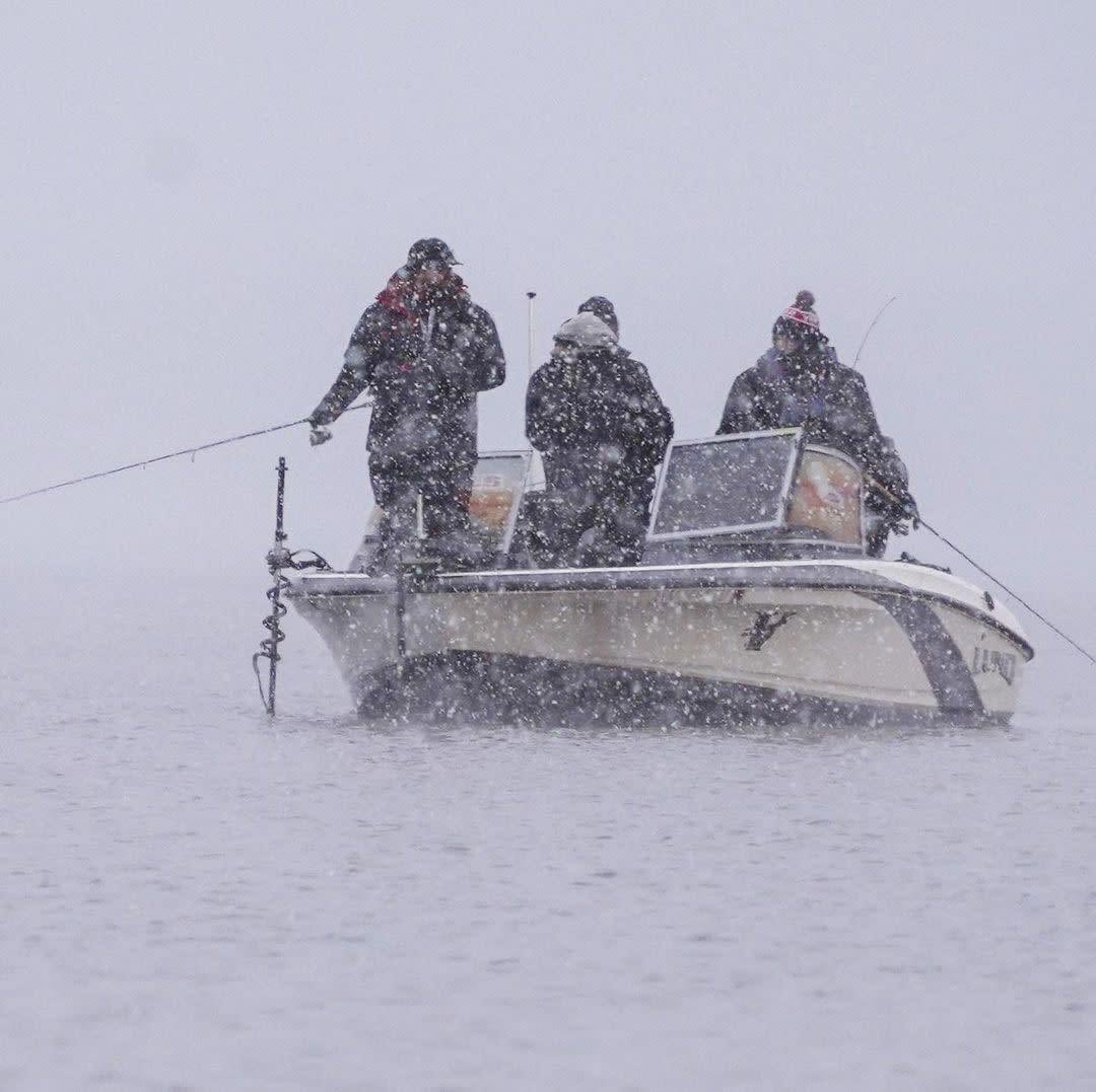 TeamBassManager's tweet image. Some call us crazy ❄️